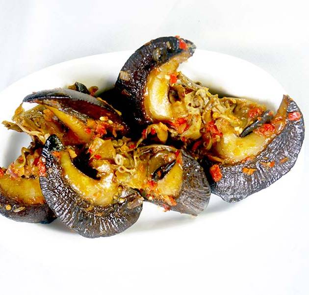 Peppered Snails